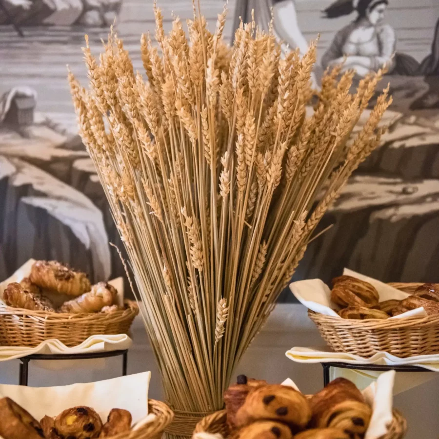 4a641586-b397-4b60-93e9-35d683715fe4-mgzih2m8-11zon-1-scaled